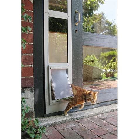 Make sure to place them at the appropriate height for your <b>cat</b>. . Sliding glass cat door
